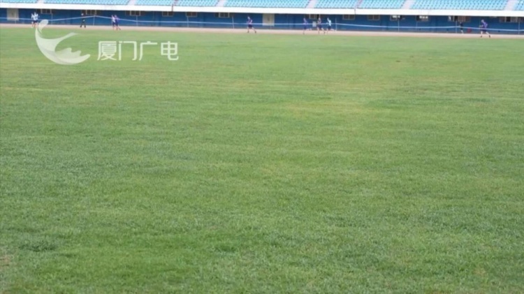 廈門市體育中心啟動硬件升級 40天工期對標閩超標準