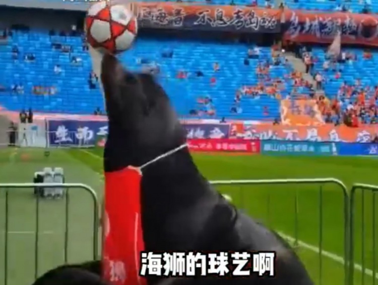 齊魯?shù)卤纫牒＊{表演 現(xiàn)場頂球引球員側(cè)目