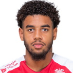 韋斯利·古貝爾斯