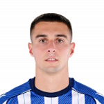 霍恩·卡里卡布魯