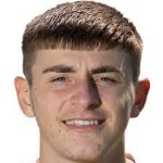 雷德?tīng)? style=