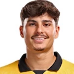 羅德里戈·戈麥斯