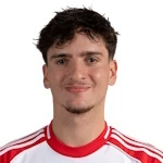 達(dá)維德普洛伊