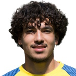 新萊昂自治大學(xué)老虎