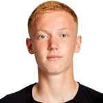 亨里克·拉爾森