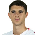 內(nèi)德利科維奇