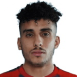 達(dá)里阿納齊