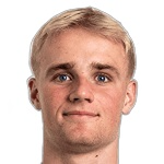 維克托·莫·弗羅霍爾特