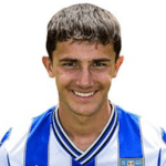 希普斯頓流浪者