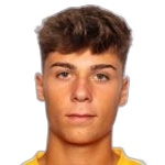 比森特·阿夫里爾