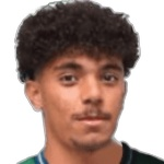 艾哈邁德·朱萊丹