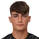 A. 農(nóng)齊安特