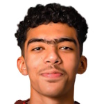 麥沙爾·阿拉埃利