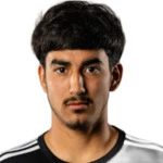 埃爾文·托雷斯