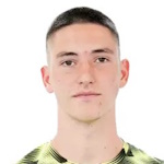 迭戈·費(fèi)雷爾