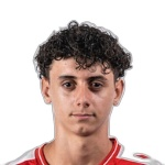 桑德羅·維迪加爾