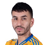 安赫爾·科雷亞