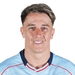 費(fèi)德里科·塞爾維