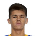 豪爾赫·多明格斯